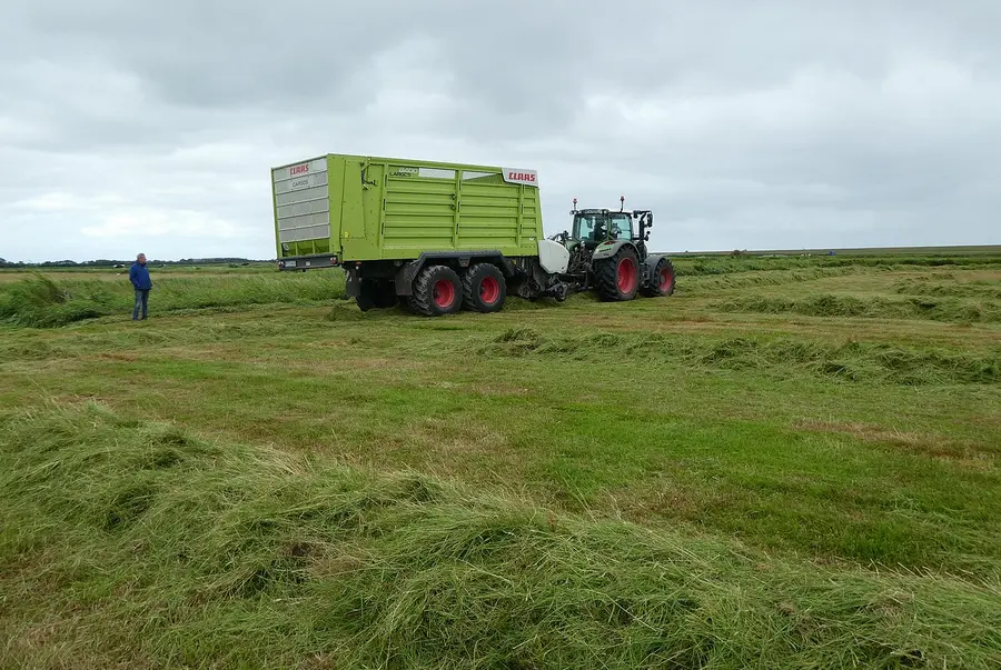 Auf dem Bild ist ein Trecker mit einem Ladewagen zu sehen, der das Mahdgut zur Empfängerfläche bringt.